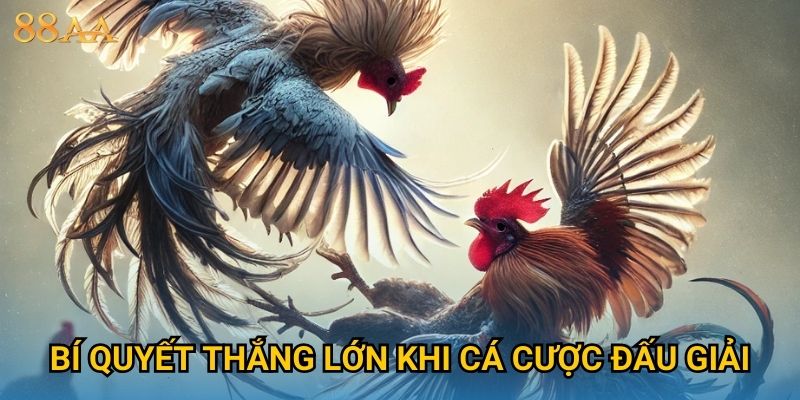 Bí quyết thắng lớn khi cá cược đấu giải