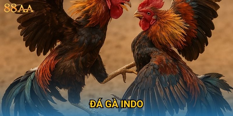 Đá gà Indo sôi động – Đặt cược trận đấu kịch tính tại 88AA